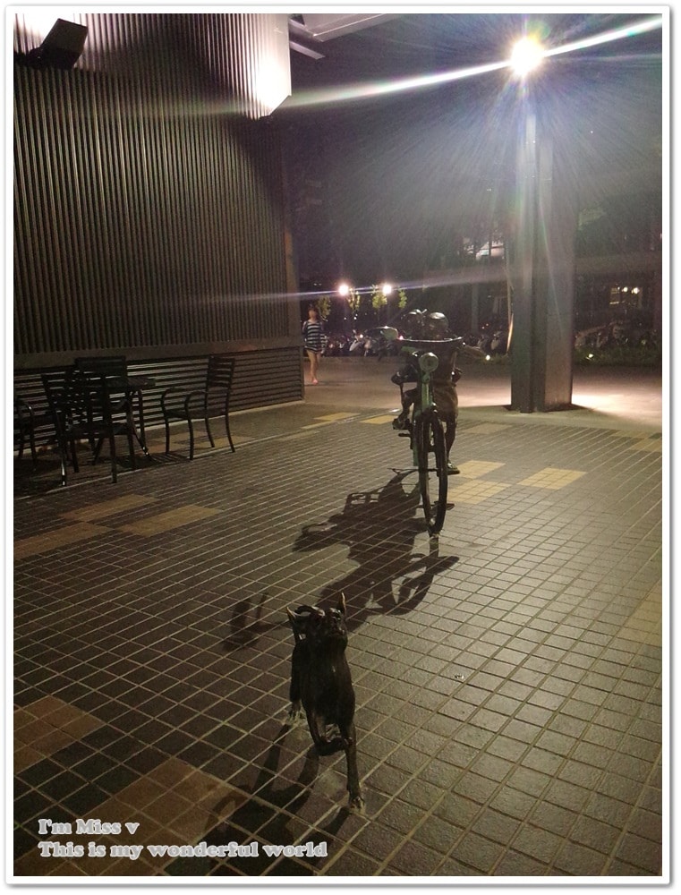 20250314-as5k1