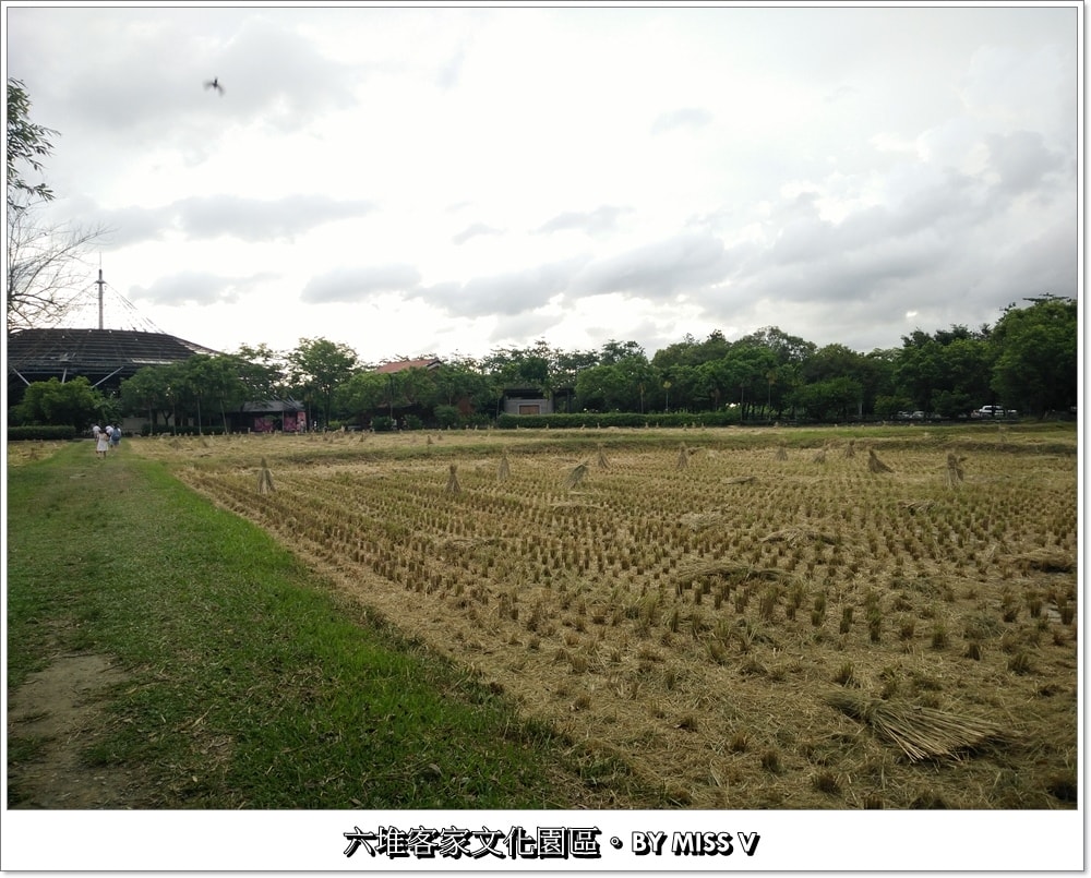 20250314-jfav3