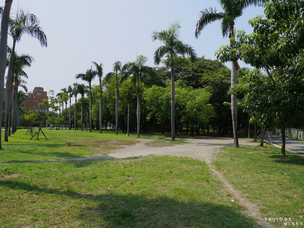20250314-8upsy