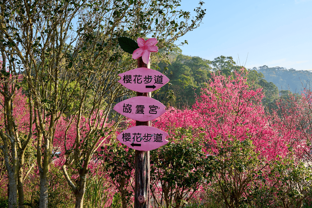 20250314-jto5b
