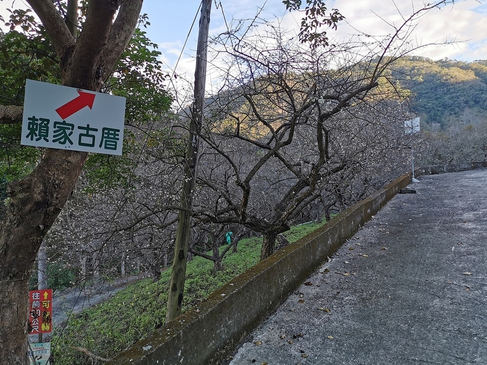 20250314-z5vm8