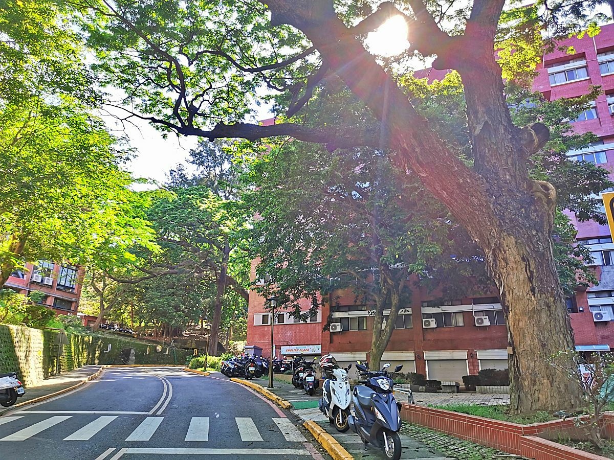 20250314-5rc80