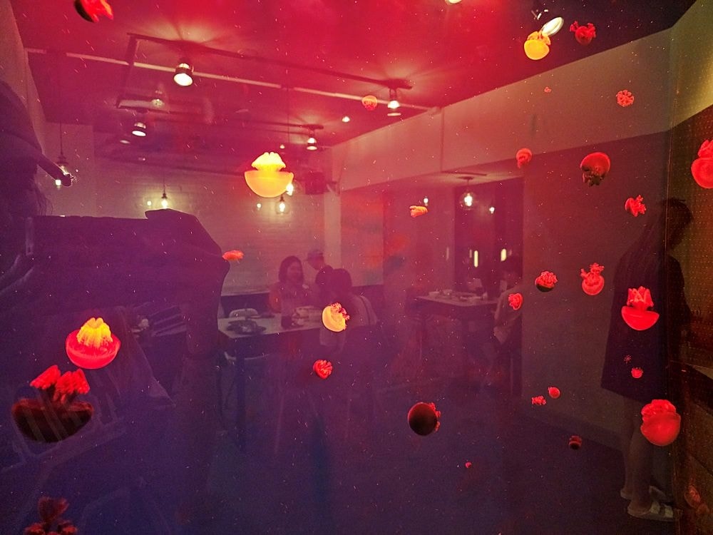20250314-sdaam