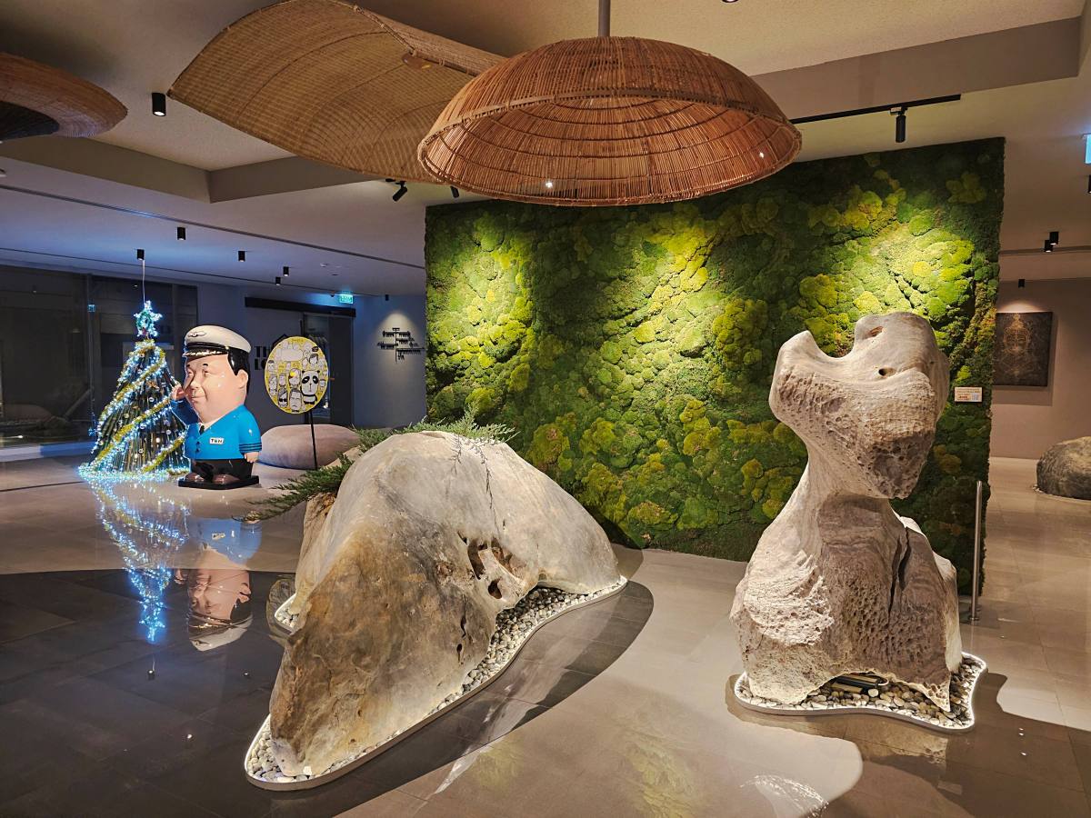 【清邁住宿】Travelodge Nimman 開箱：小資族必收！尼曼區高CP值飯店，頂樓泳池、早餐、房型全攻略！