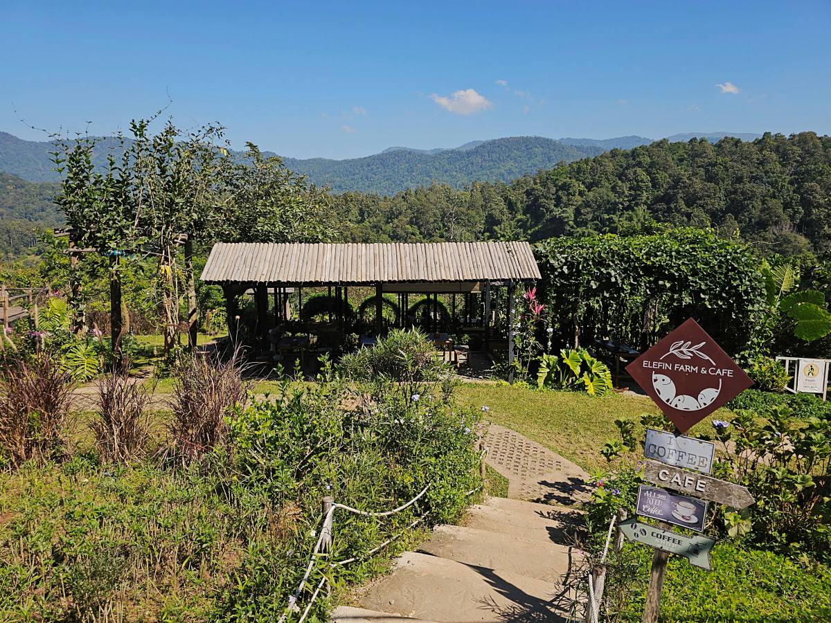【清邁景點】Elefin Farm & Cafe：免門票、無低消！只需 100 銖就能餵大象合照，清邁近郊療癒森林系咖啡廳推薦
