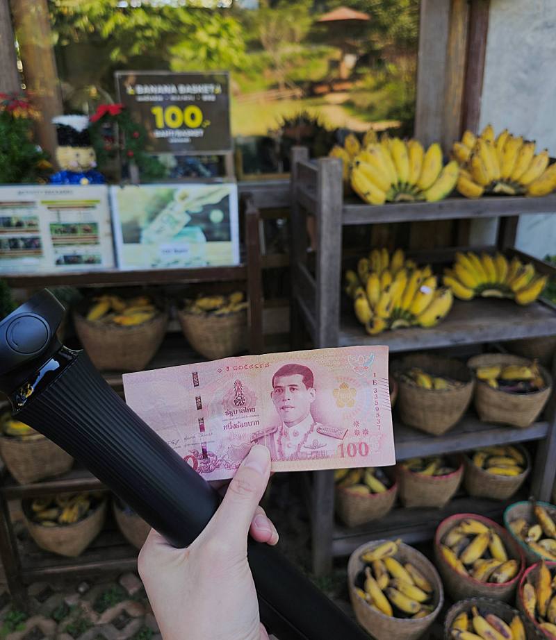 【清邁景點】Elefin Farm & Cafe:免門票、無低消!只需 100 銖就能餵大象合照,清邁近郊療癒森林系咖啡廳推薦 - 第6張圖 【清邁景點】Elefin Farm & Cafe:免門票、無低消!只需 100 銖就能餵大象合照,清邁近郊療癒森林系咖啡廳推薦