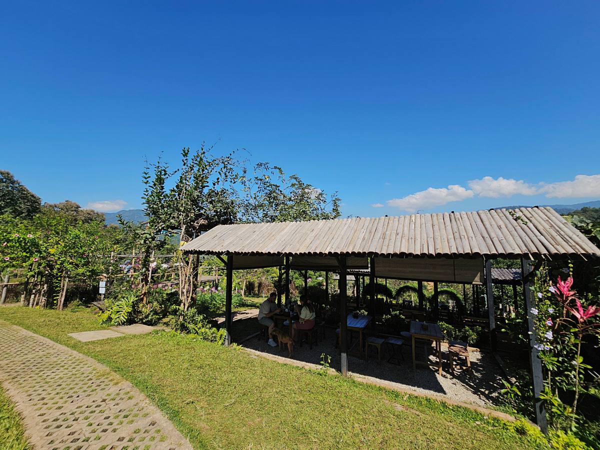 【清邁景點】Elefin Farm & Cafe:免門票、無低消!只需 100 銖就能餵大象合照,清邁近郊療癒森林系咖啡廳推薦 - 第13張圖 【清邁景點】Elefin Farm & Cafe:免門票、無低消!只需 100 銖就能餵大象合照,清邁近郊療癒森林系咖啡廳推薦
