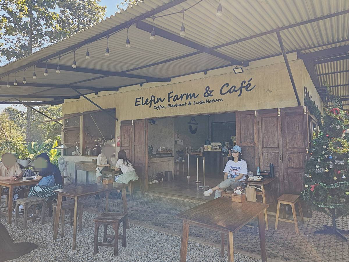【清邁景點】Elefin Farm & Cafe:免門票、無低消!只需 100 銖就能餵大象合照,清邁近郊療癒森林系咖啡廳推薦 - 第14張圖 【清邁景點】Elefin Farm & Cafe:免門票、無低消!只需 100 銖就能餵大象合照,清邁近郊療癒森林系咖啡廳推薦